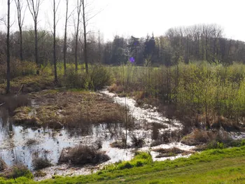 Kalkense Meersen (België)